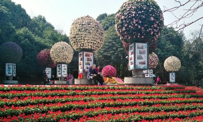 成都植物园