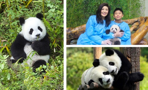上海到成都旅游攻略