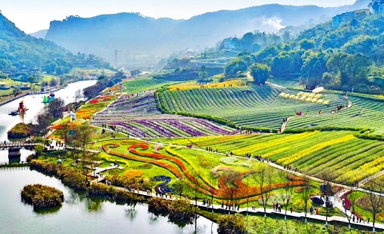 花田酒地