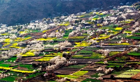 四川旅游攻略必去的景点推荐