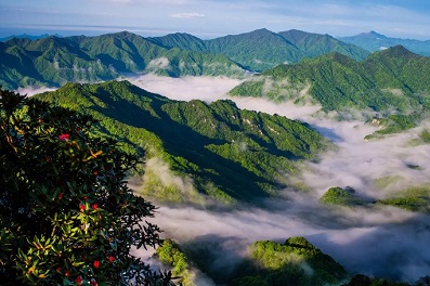 八月四川旅游攻略