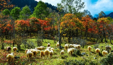 四川大凉山旅游
