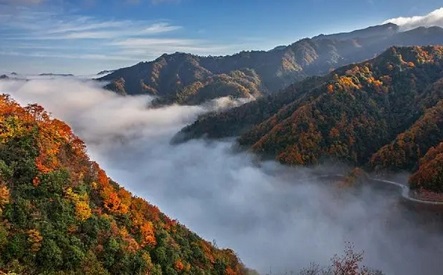 成都到光雾山多少公里