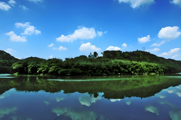 成都蜀南竹海游
