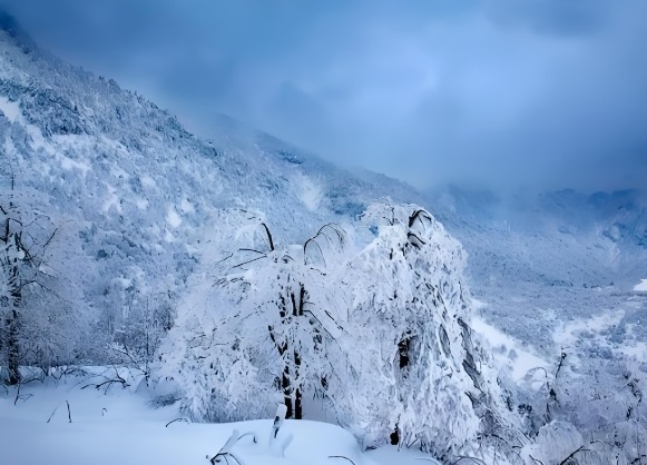 成都西岭雪山旅游攻略一日游
