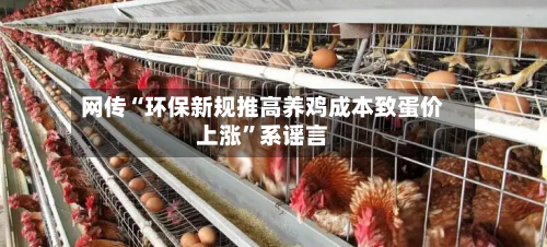 网传“环保新规推高养鸡成本致蛋价上涨”系谣言-第3张图片