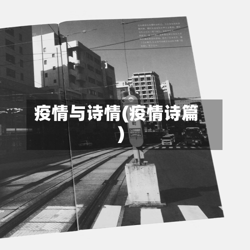 疫情与诗情(疫情诗篇)