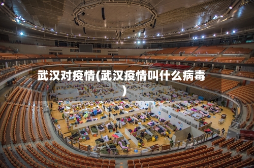 武汉对疫情(武汉疫情叫什么病毒)-第2张图片