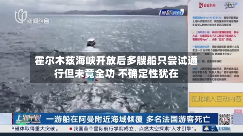 霍尔木兹海峡开放后多艘船只尝试通行但未竟全功 不确定性犹在-第2张图片