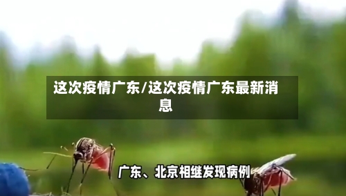 这次疫情广东/这次疫情广东最新消息