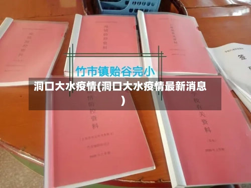 洞口大水疫情(洞口大水疫情最新消息)