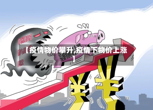【疫情物价攀升,疫情下物价上涨】-第1张图片