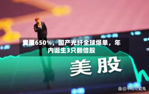 费用大涨650%，国产光纤全球爆单，年内诞生3只翻倍股-第1张图片