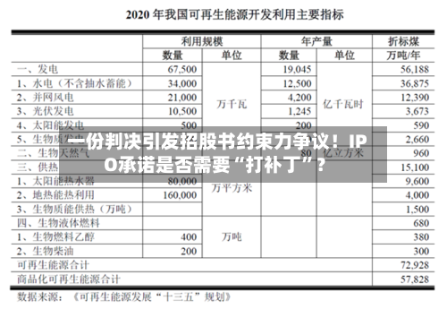 一份判决引发招股书约束力争议！IPO承诺是否需要“打补丁”？