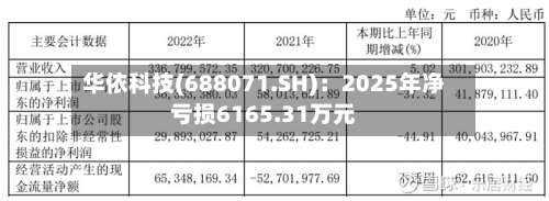 华依科技(688071.SH)：2025年净亏损6165.31万元-第1张图片