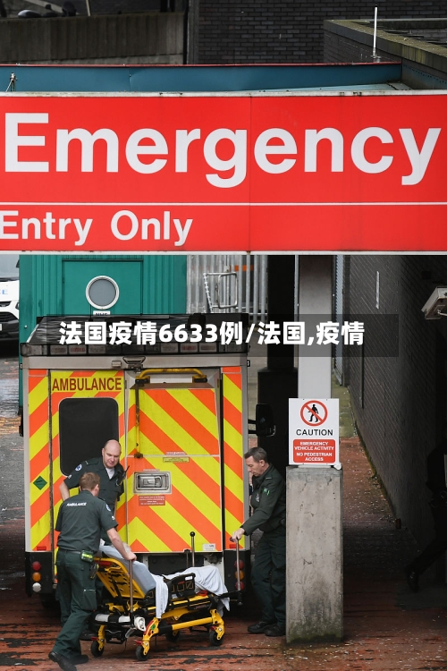 法国疫情6633例/法国,疫情-第1张图片