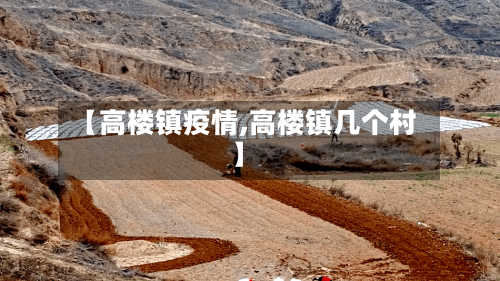 【高楼镇疫情,高楼镇几个村】-第1张图片
