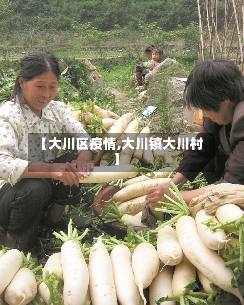 【大川区疫情,大川镇大川村】-第1张图片