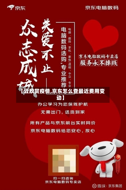 【云欣赏疫情,京东怎么查最近费用变动】-第1张图片