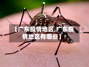【广东疫情地区,广东疫情地区有哪些】-第3张图片