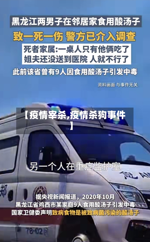 【疫情宰杀,疫情杀狗事件】-第1张图片