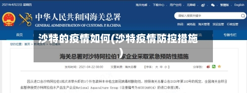 沙特的疫情如何(沙特疫情防控措施)-第3张图片