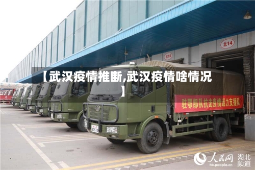 【武汉疫情推断,武汉疫情啥情况】-第1张图片
