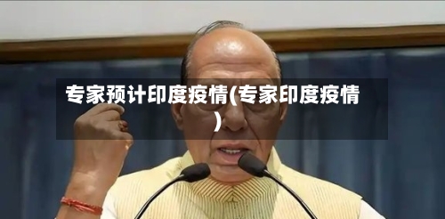 专家预计印度疫情(专家印度疫情)-第3张图片