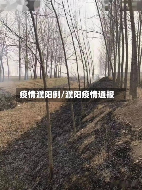 疫情濮阳例/濮阳疫情通报-第1张图片
