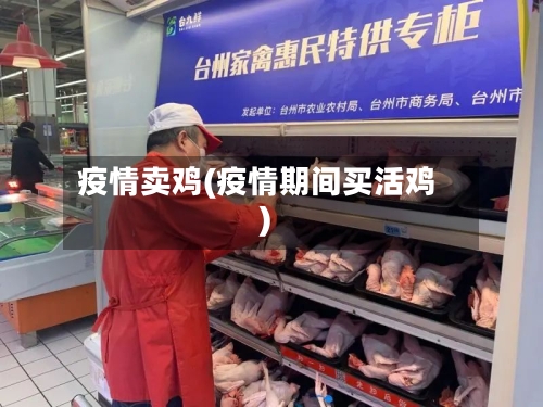 疫情卖鸡(疫情期间买活鸡)-第2张图片