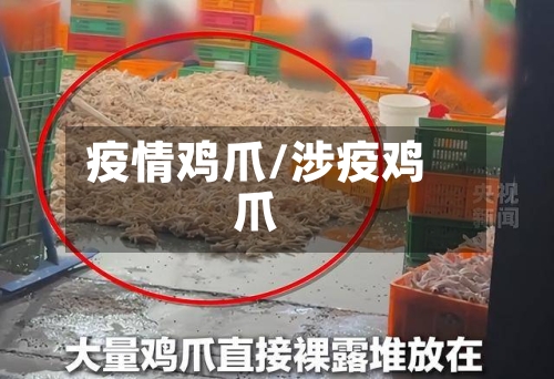 疫情鸡爪/涉疫鸡爪-第1张图片