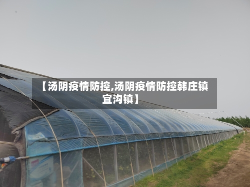 【汤阴疫情防控,汤阴疫情防控韩庄镇宜沟镇】-第1张图片