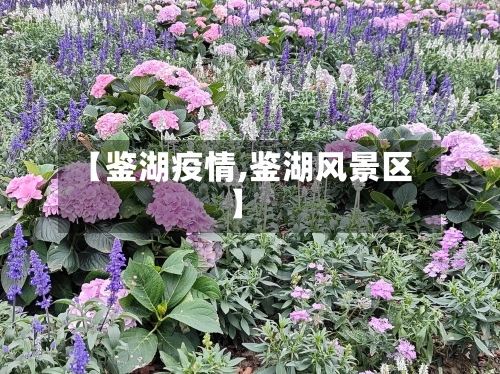 【鉴湖疫情,鉴湖风景区】-第1张图片
