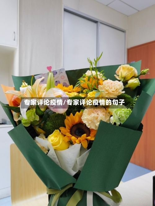 专家评论疫情/专家评论疫情的句子-第1张图片