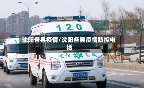 沈阳各县疫情/沈阳各县疫情防控电话-第1张图片