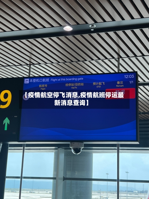 【疫情航空停飞消息,疫情航班停运最新消息查询】-第1张图片