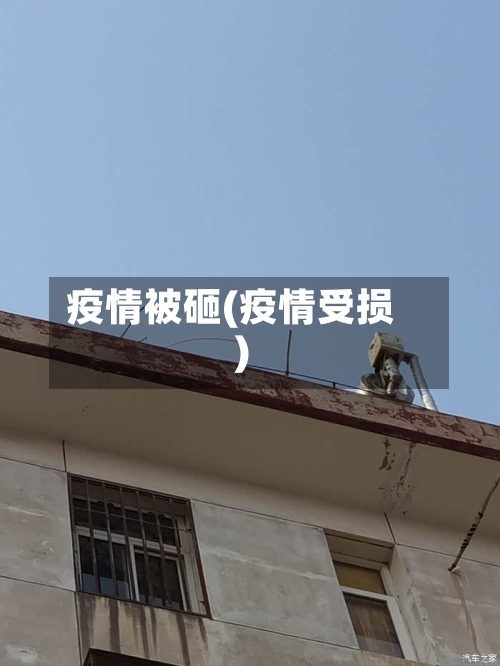 疫情被砸(疫情受损)-第3张图片