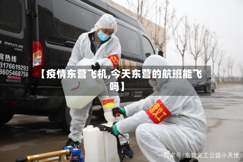 【疫情东营飞机,今天东营的航班能飞吗】-第2张图片
