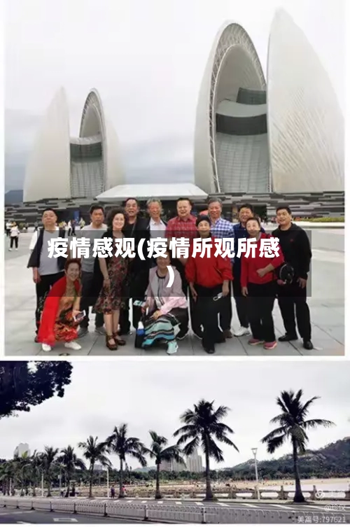 疫情感观(疫情所观所感)-第1张图片